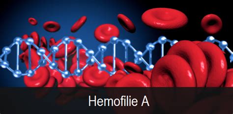 hemofilie a betekenis